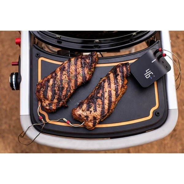 Weber Gasgrill Traveler Black – Bild 9